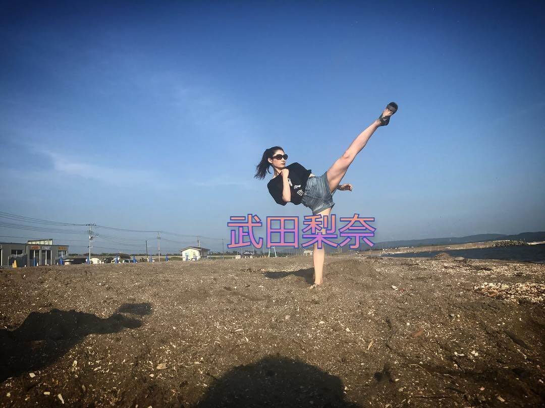 武田梨奈にふさわしい結婚相手が経歴から判明 中学時代の彼氏にハイキック フカトピ